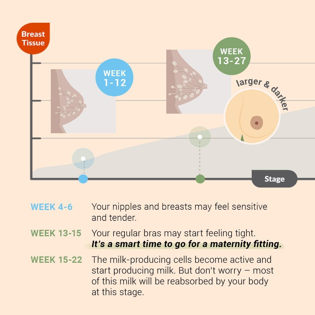When Do Your Boobs Stop Growing: Understanding Breast Development