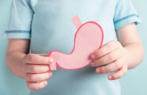 Child holding stomach decorative model. Closeup
