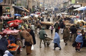 Afghanistan, town, city — "From Fetch to Treat Dispensers: Exploring the World of Automated Pet Toys"