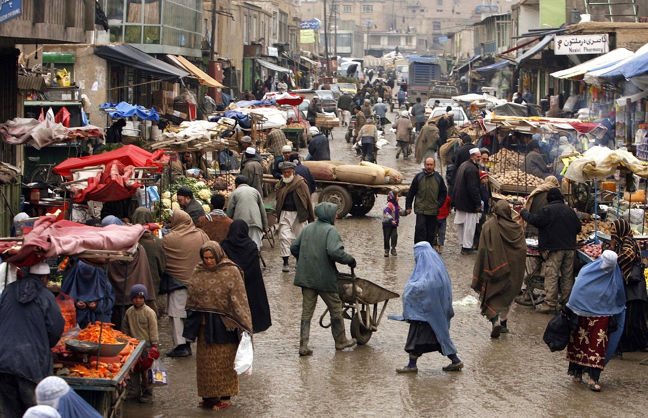 Afghanistan, town, city — "From Fetch to Treat Dispensers: Exploring the World of Automated Pet Toys"