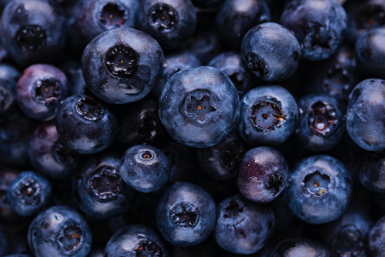Blueberries, fruits, harvest — Luxury and Comfort: The Best Massage Outcall in London