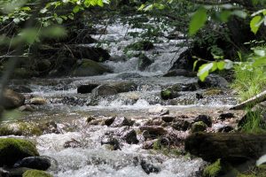 Mountain stream flowing, stream, scenery — Sports Free Broadcast That Covers a Range of Live Events