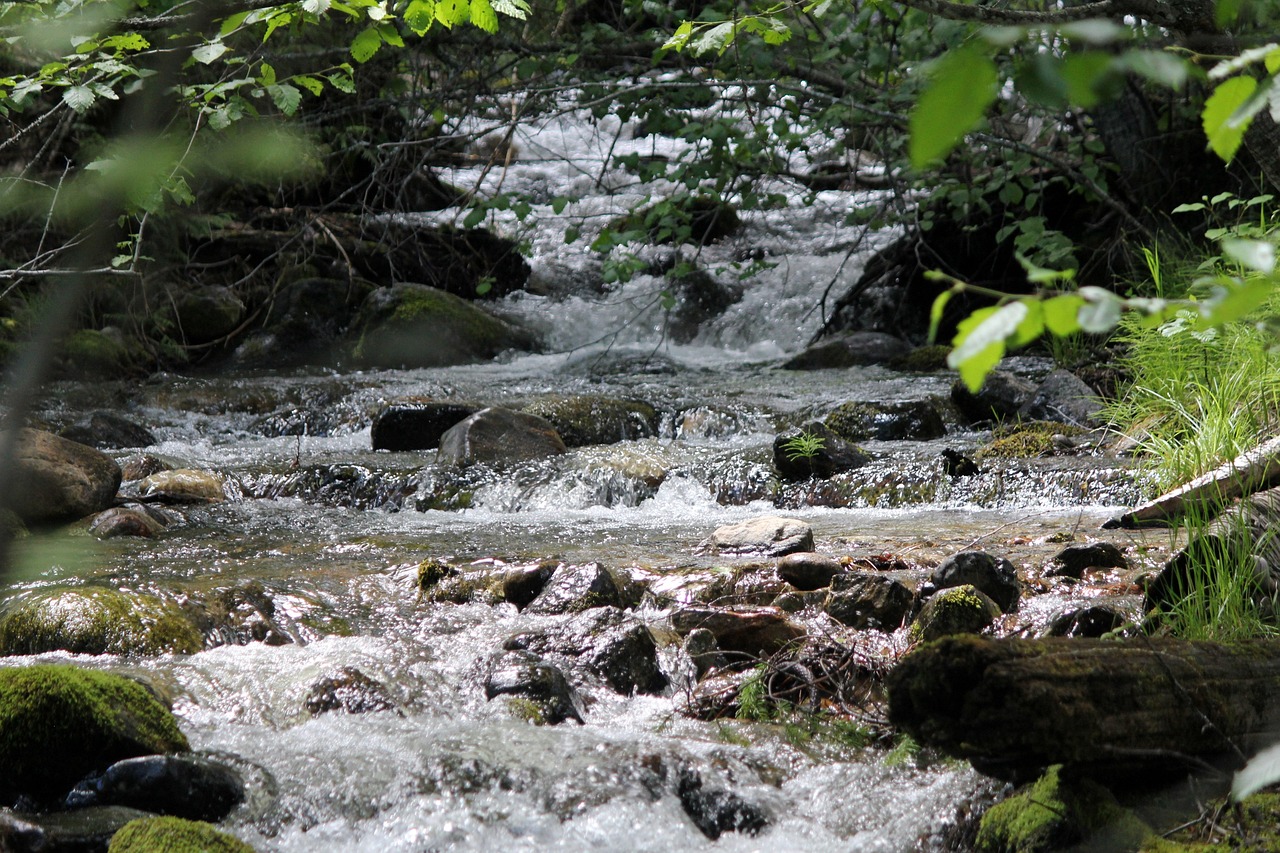 Mountain stream flowing, stream, scenery — Sports Free Broadcast That Covers a Range of Live Events